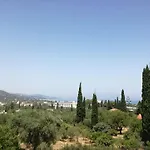 ζante Dolphin Alykes (Zakynthos)