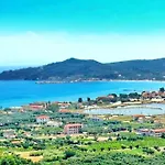 ζante Dolphin 4*