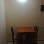 ζante Dolphin 4*