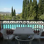 ζante Dolphin