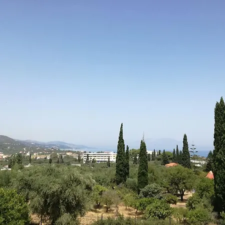 ζante Dolphin Alykes (Zakynthos)