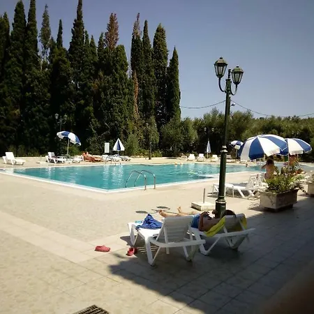 ζante Dolphin 4*
