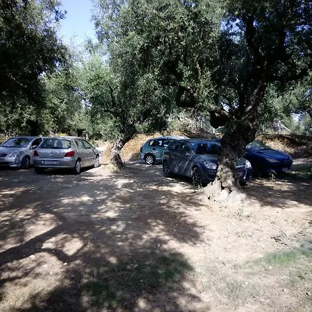 ζante Dolphin מלון דירות