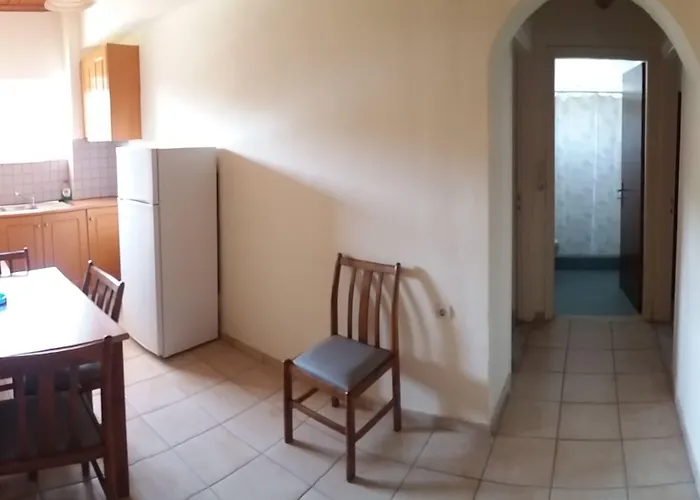 ζante Dolphin 阿里克斯