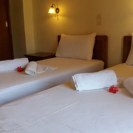 아파트호텔 ζante Dolphin 알리케스