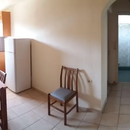 ζante Dolphin 알리케스