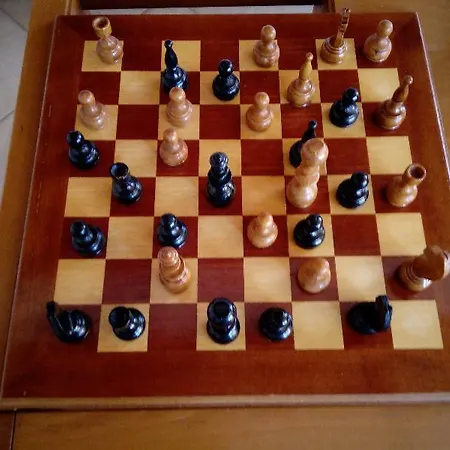 ζante Dolphin 알리케스